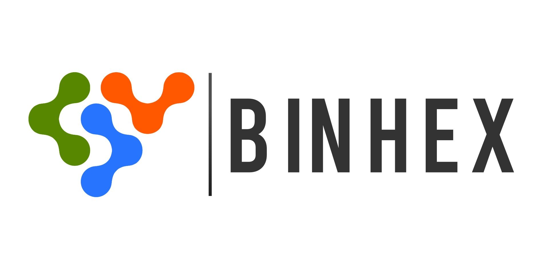Logo de la empresa Binhex Systems Solutions, S.L.